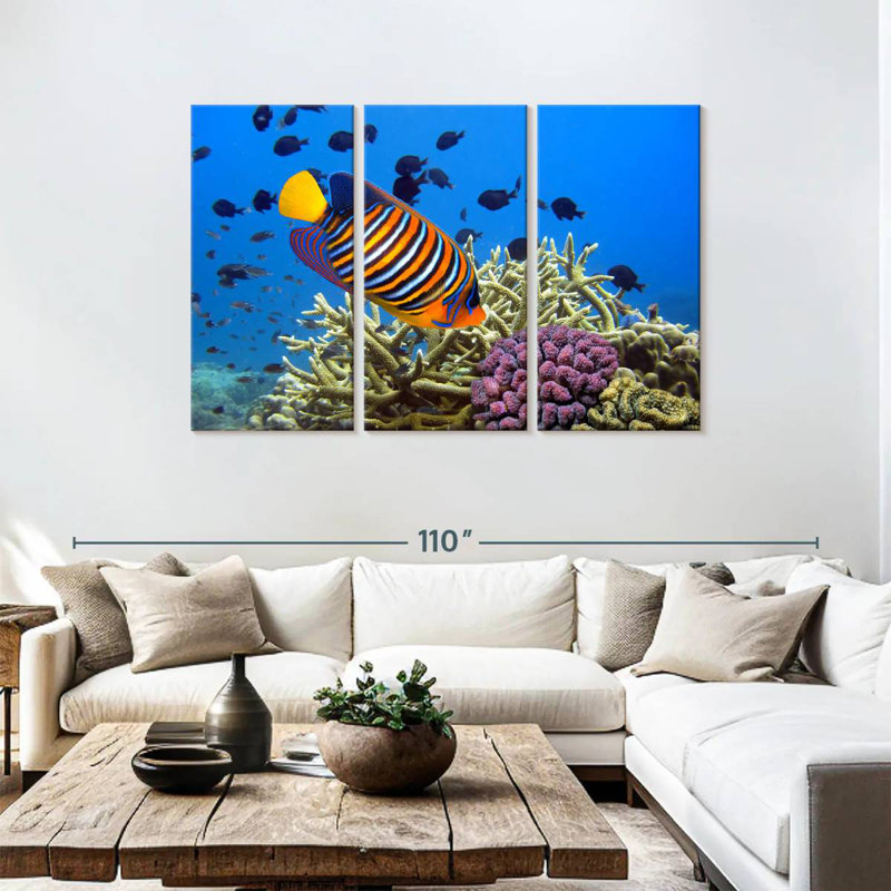 Brampt Royal Angelfish, 48" H x 74" W