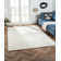 Shaggy Lush cream  Rug