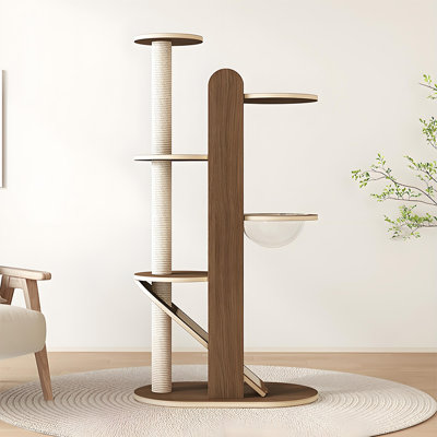 Structure d'escalade pour chat 19,69 "Home
