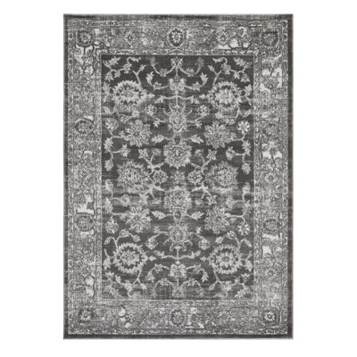 Raghdah Oriental Indoor Rug