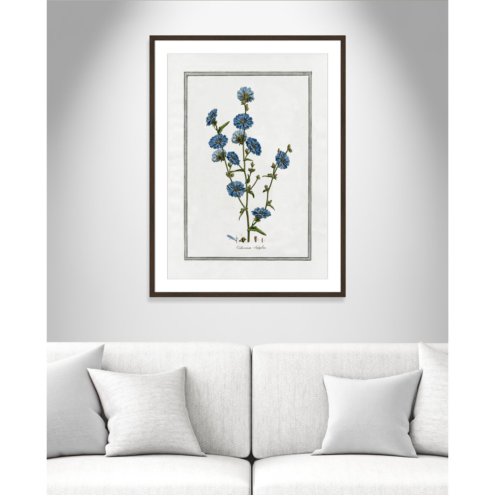 Colombe "Soft Botanical I" Print, 25.5" W x 35.5" H, Walnut Framed