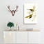 Elegant Grass-Parakeets by Elizabeth Gould - Wrapped Canvas Painting-55373059