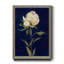 «Pretty As A Peony II», reproduction sur papier encadrée-1283887589-1283887590