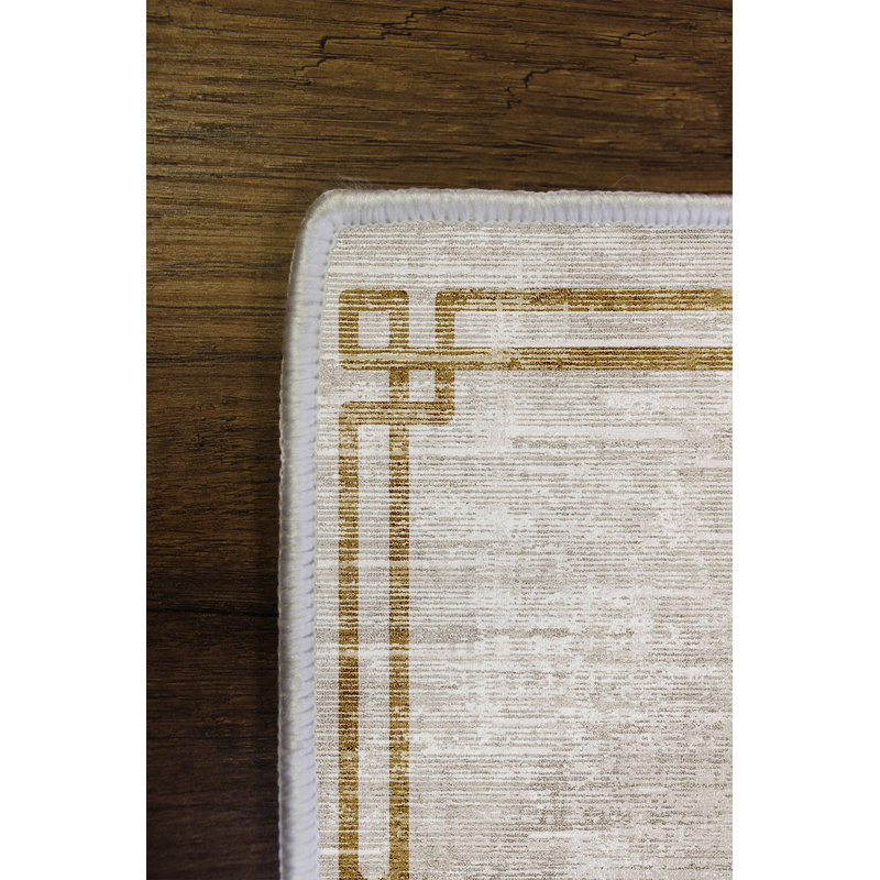 Premium Hall Carpet, 3.3 x 6.6 ft, Grey | 100% Polyester, 650 g/m² | Antibacterial, Non-Slip PVC Dot Underside | Machine Washable, Eco-Friendly, 0.2 in Pile Height | Perfect for Entryway, Living Room & Bedroom