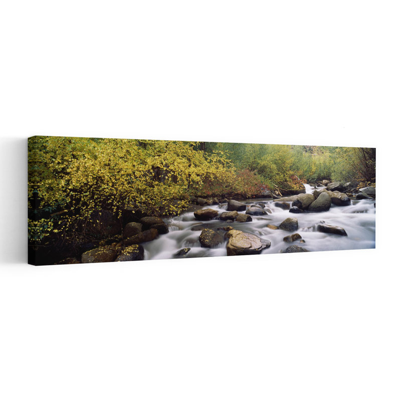 Rivière, rivière, forêt, H 60 po x l 20 po
