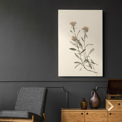 " Vintage Floral Print II "