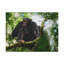 No Frame Print on Canvas-1353235985