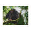 No Frame Print on Canvas-2089877130