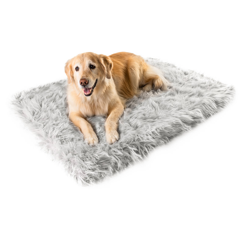  Tapis pour chien Puprug Runner, gris, H 2 po x l 60 po x P 40 po