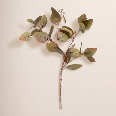 Audet 28" Eucalyptus Branch