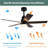 48'' Ceiling Fan with LED Lights