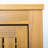  1 Door Cabinet for Indoor and Outdoor, Accent Cabinet, Storage Cabinet