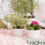 Berry & Thread Ramekin - Whitewash