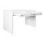 Ralph Writing Desk-64513012
