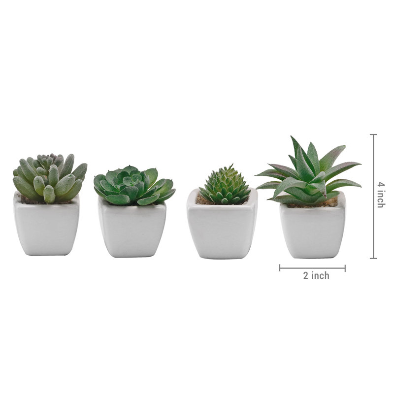 Ensemble de 4 plantes grasses artificielles en pot