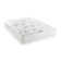 Delmor Panel Bed with Mattress
