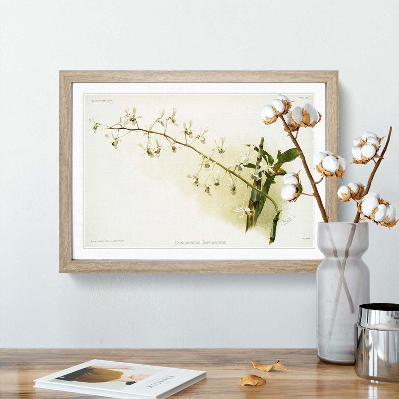 Magnolia Flowers Illustration Tab. 95 by Frederick Sander - Picture Frame Art Print, Oak Framed, 48cm H x 65cm W x 2cm D