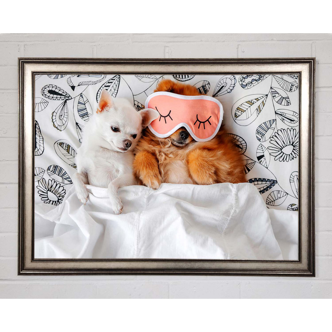 Gerahmter Kunstdruck Chihuahua Bedtime Dog Love