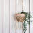Remy Plant Stand
