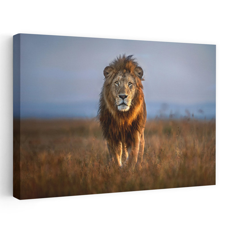 Art contemporain Lion contemporain, H 24 po x l 36 po
