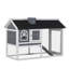 Weather Resistant Rabbit Hutch