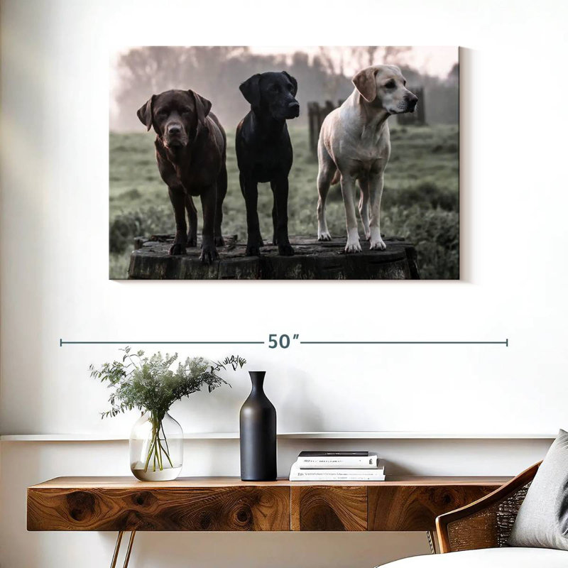 Brampt Labrador Dogs, H 26 po x l 39 po