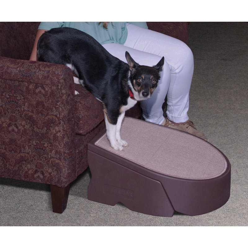 Rampe pour animal One Step
