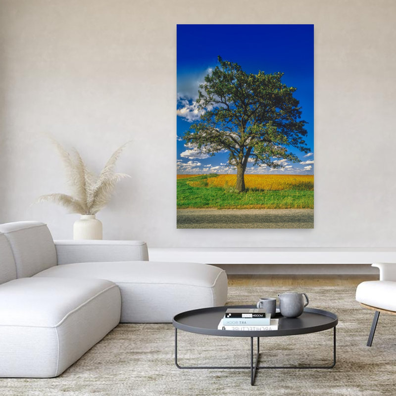 Single Oak Tree On Country Road Farm Grass Field Blue Sky Clouds IL USA by Mark Segal - Wrapped Canvas Print