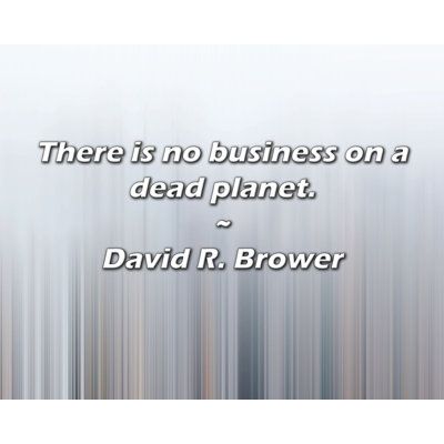 David R. Brower Quote: There is no business on a dead planet.
