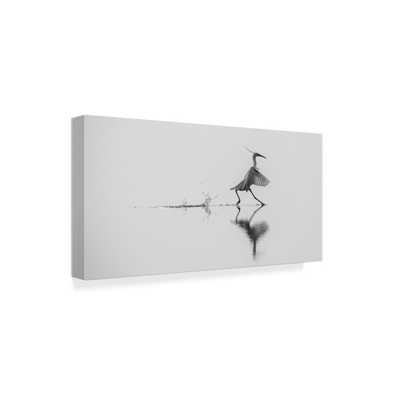 « danse on the water », reproduction de photo sur toile tendue, H 10 po x l 19 po x P 2 po