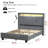 Hudepohl Upholstered Wingback Bed with 52.12" High Storage Headboard, Modern Upholstered Bed Frame with Outlet & LED Light-1636301564-1644785087