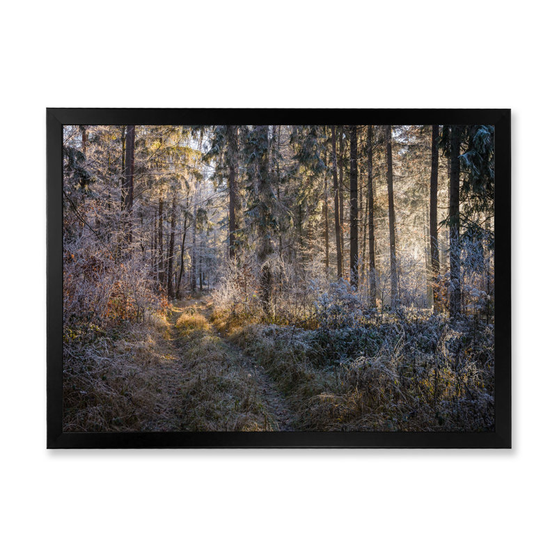 «Forest Trees In Winter», reproduction d'art sur toile, H 8 po x l 12 po x P 1 po, Cadre noir