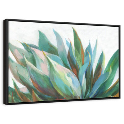 Agave vibrant
