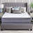 Alwyn Home Ornithogale 20'' Plush Memory Foam Mattress and Box Spring-49180182