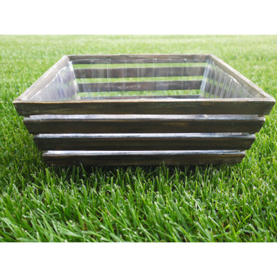 World Menagerie Decorative Bin