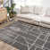 Kaern Abstract Gray Area Rug