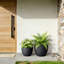 Pot à fleurs rond en béton noir mat de 14 po (intérieur amélioré) avec trous de drainage-641955528-641955535