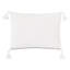 Outdoor Lumbar Indoor/Outdoor Pillow Cover & Insert