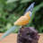 Cavour Figurines & Sculptures