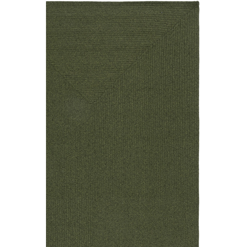 Garbrand Braided Hand Woven Performance Machine Washable Solid Color Indoor/Outdoor Area Rug, Rectangle 3' x 5'