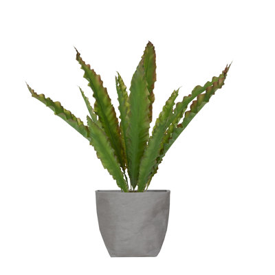33.5" Tall Bannister Plant in Planter