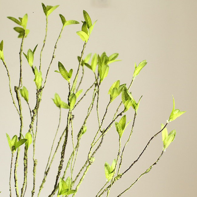 Silk Cloth Arrangement