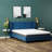 Omne Fria 8 Inch Firm Mattress With Cooling Cover-1999275942