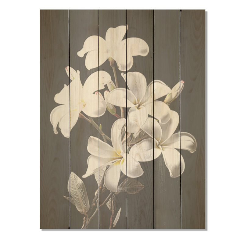 Parfumée Plumeria Serenade I - art sur bois de pin naturel Plumeria, H 40 po x l 30 po