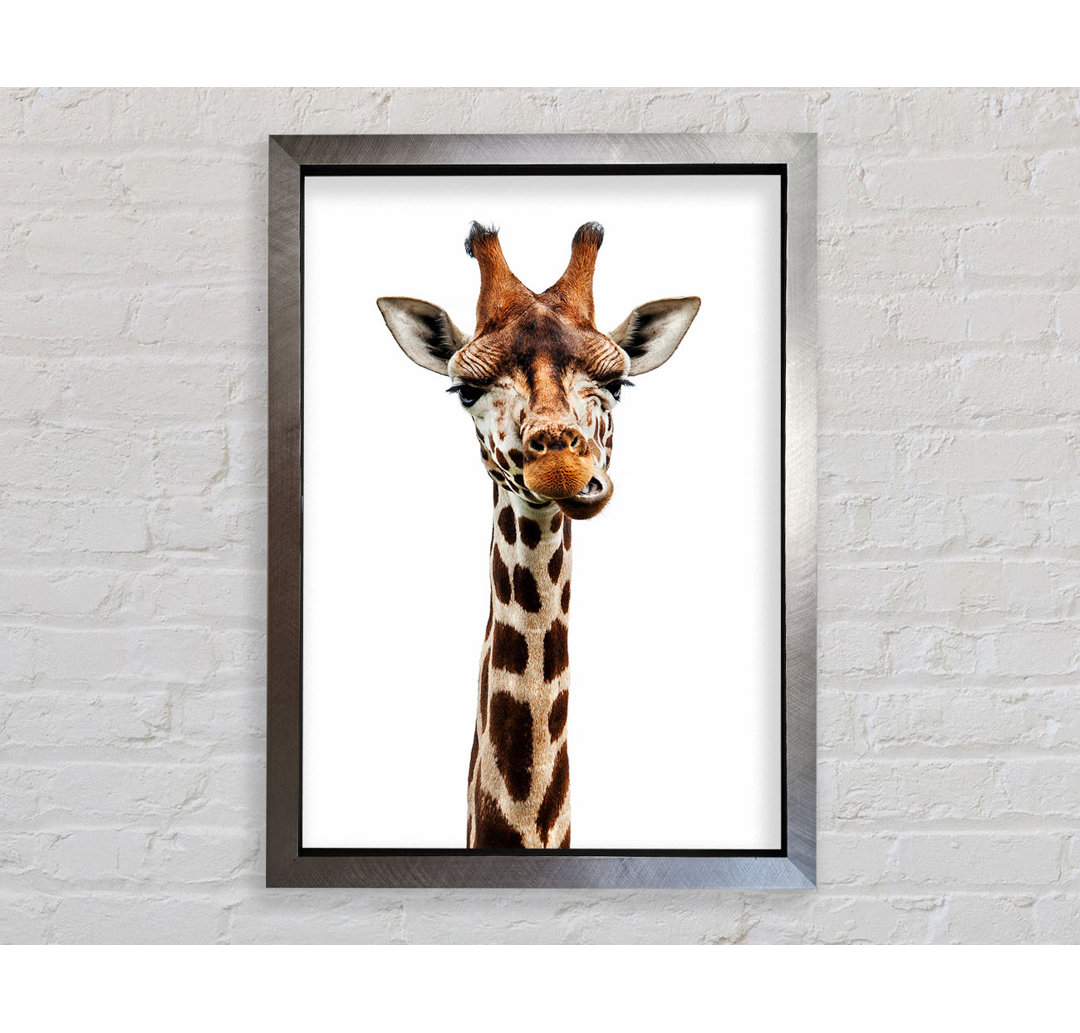 Goofy Giraffe - Druck