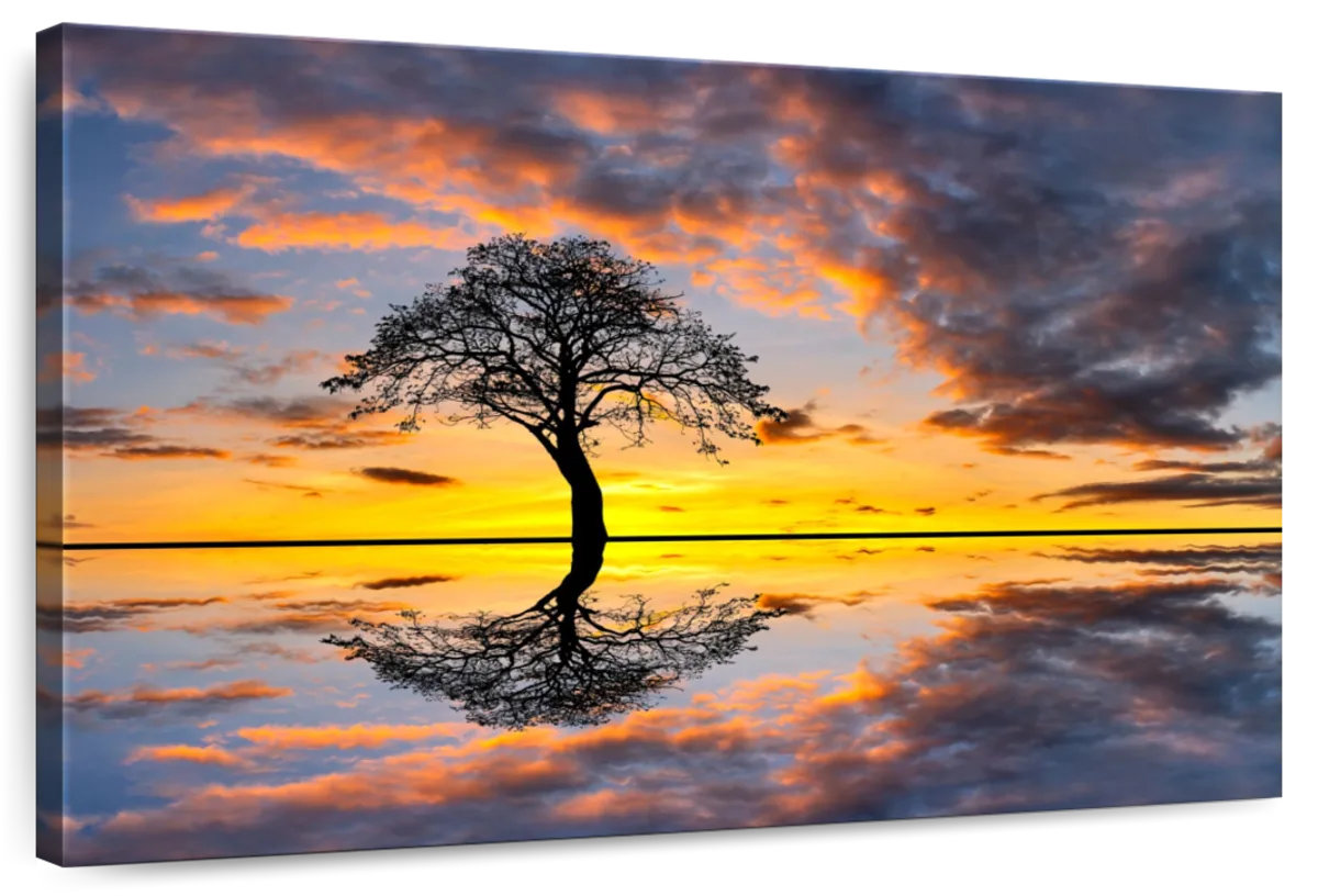 Millwood Pines Alvord Lakeside Tree Sunset | Wayfair