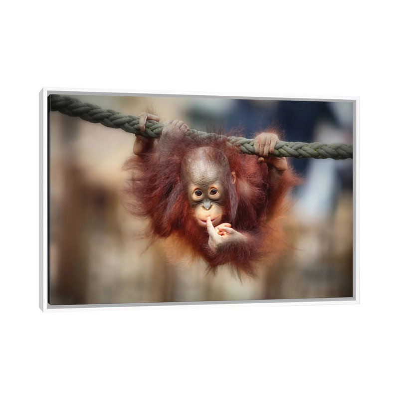The Big Query by Antje Wenner-Braun - Floater Frame Print on Canvas, White Floater Framed, 66.04 cm H x 45.72 cm W