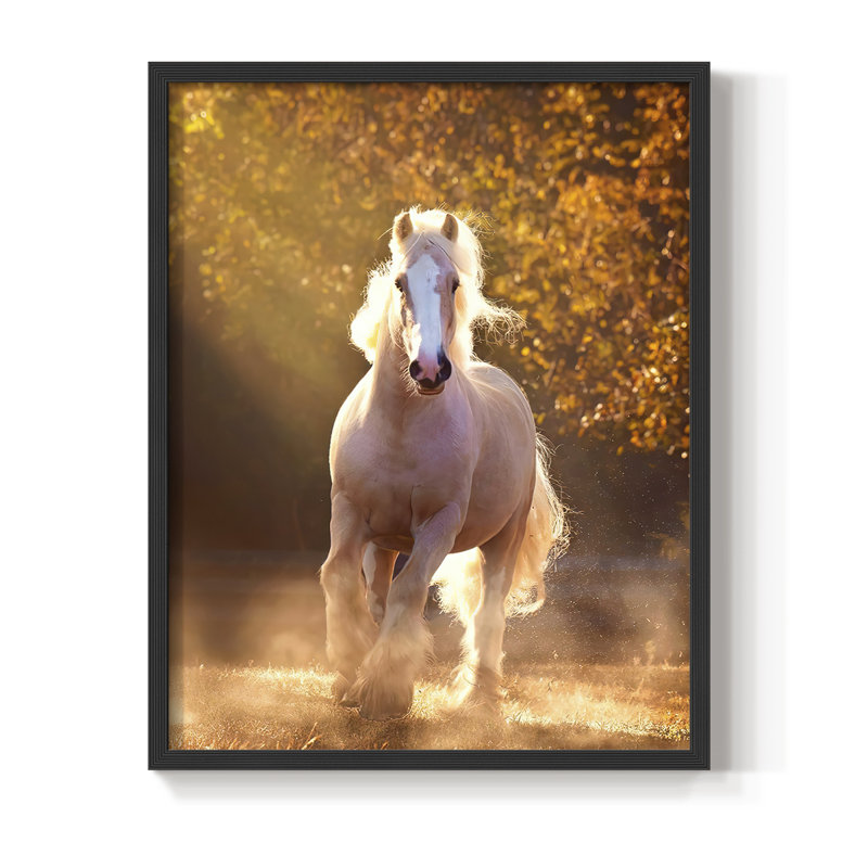 Impression encadrée «Horse Motion» - bois massif, Noir, H 28 po x l 22 po