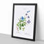 Clematis Flowers by Pierre-Joseph Redoute - Picture Frame Painting Print-55602225-55602231