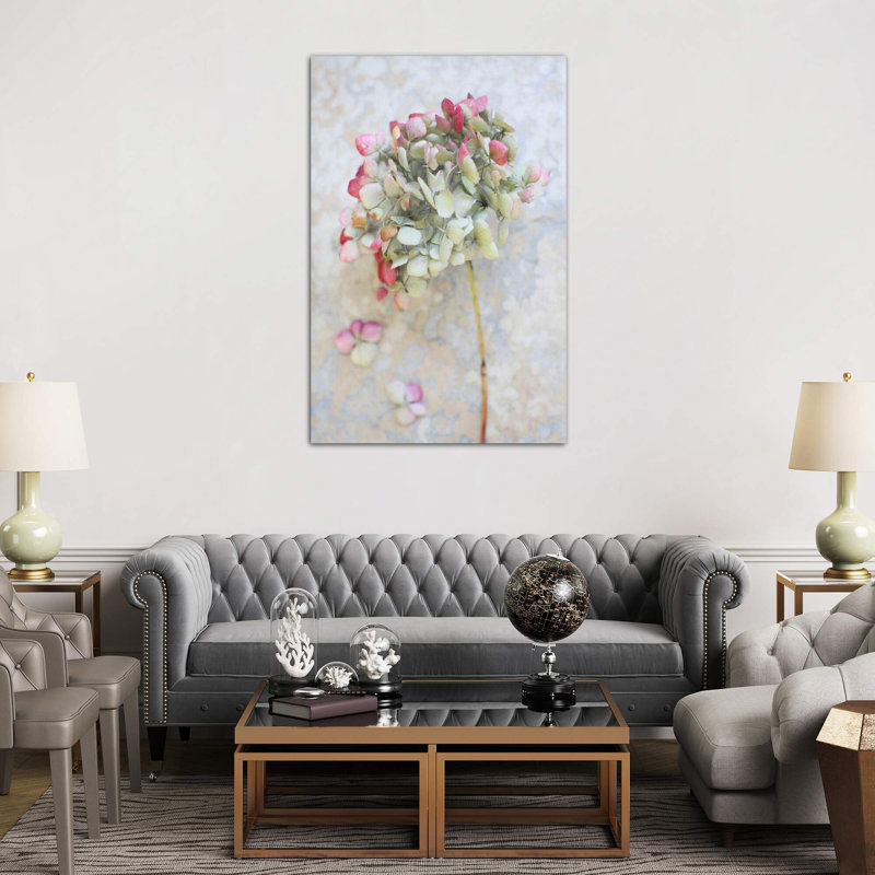Pastel Dried Hydrangea I by Alyson Fennell - Wrapped Canvas Print, 101.6 cm H x 66.04 cm W x 3.175 cm D